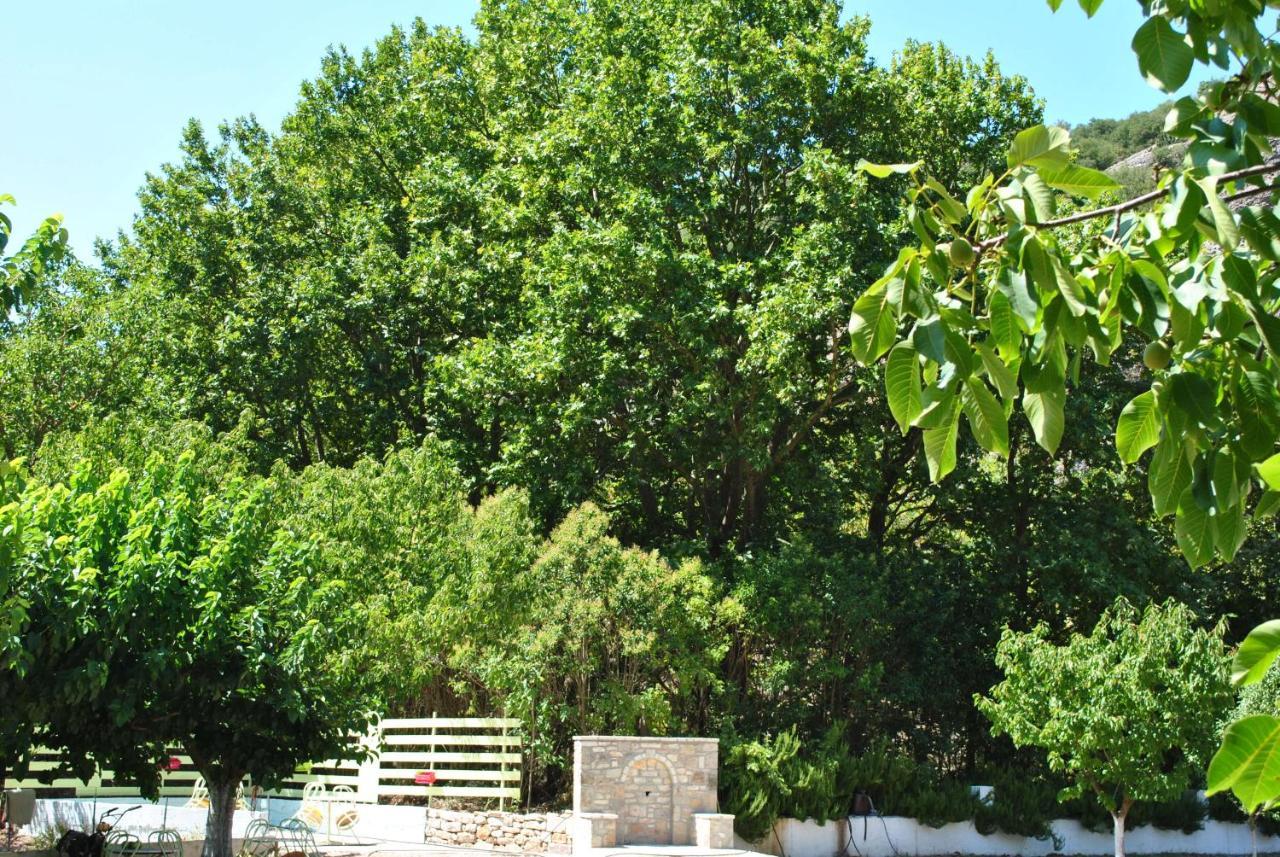 קלבריטה Guesthouse Eleftherios מראה חיצוני תמונה
