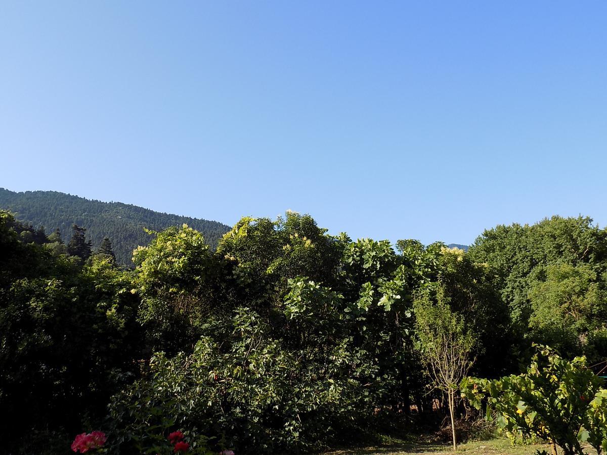 קלבריטה Guesthouse Eleftherios מראה חיצוני תמונה